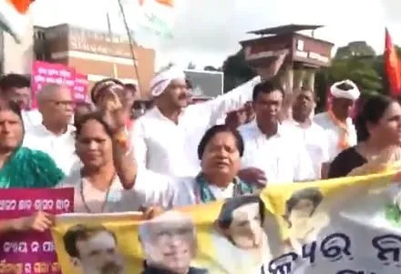 Congress picketing