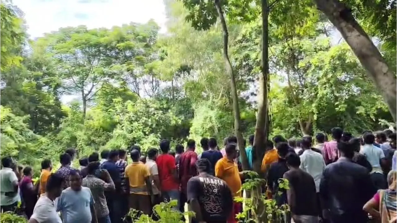 Kujanga