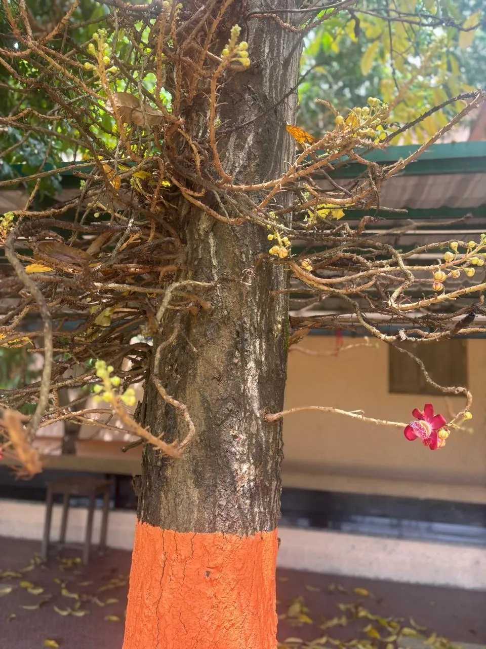 1 Photo1 credit_ Pallabi Mohapatra