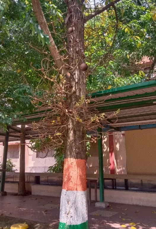 1 Photo4 credit_ Pallabi Mohapatra
