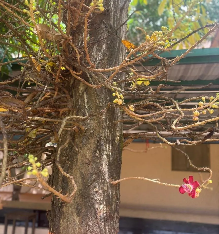 1 Photo6 credit_ Pallabi Mohapatra