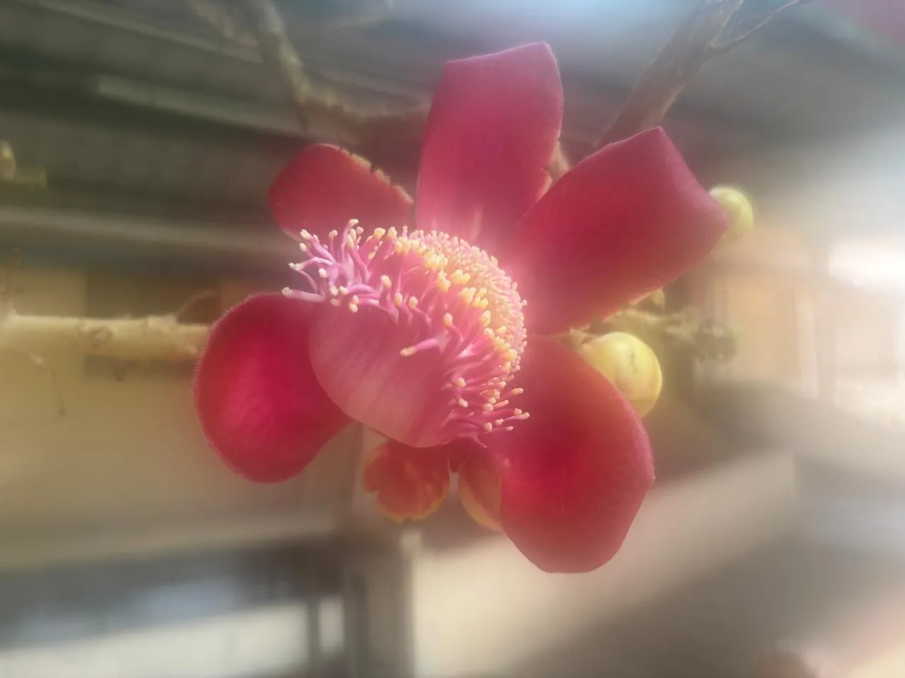 1 Photo7 credit_ Pallabi Mohapatra