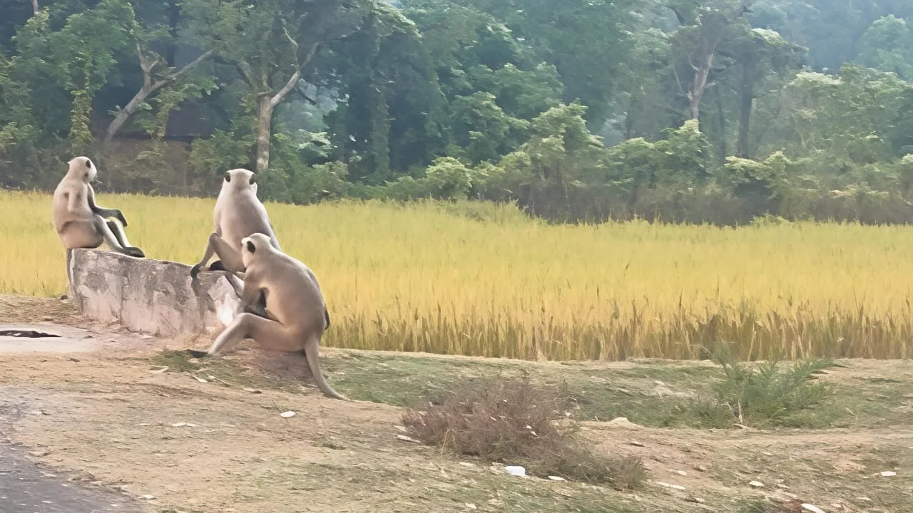 7f0049d7-63dd-4e4e-a0e1-44075ad8580b