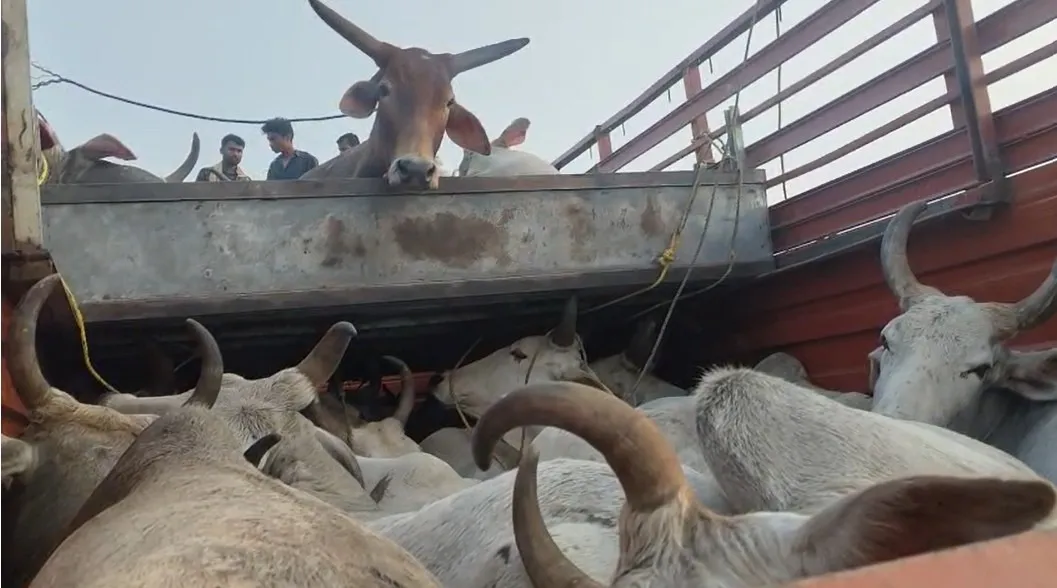 Screenshot 2026-02-06 074854