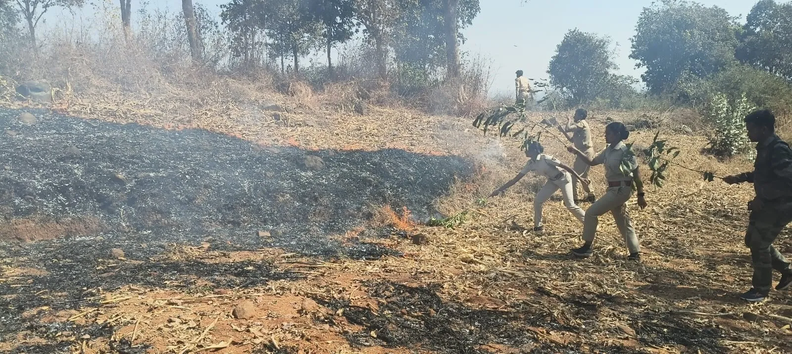 WhatsApp Image 2026-02-13 at 16.53.49 (1)