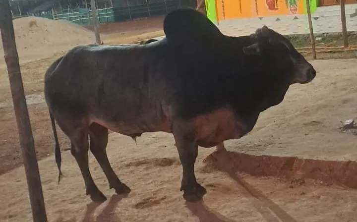 WhatsApp Image 2026-02-15 at 8.02.58 AM