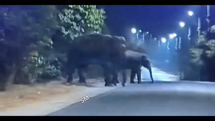 IMG_20260224_07522002