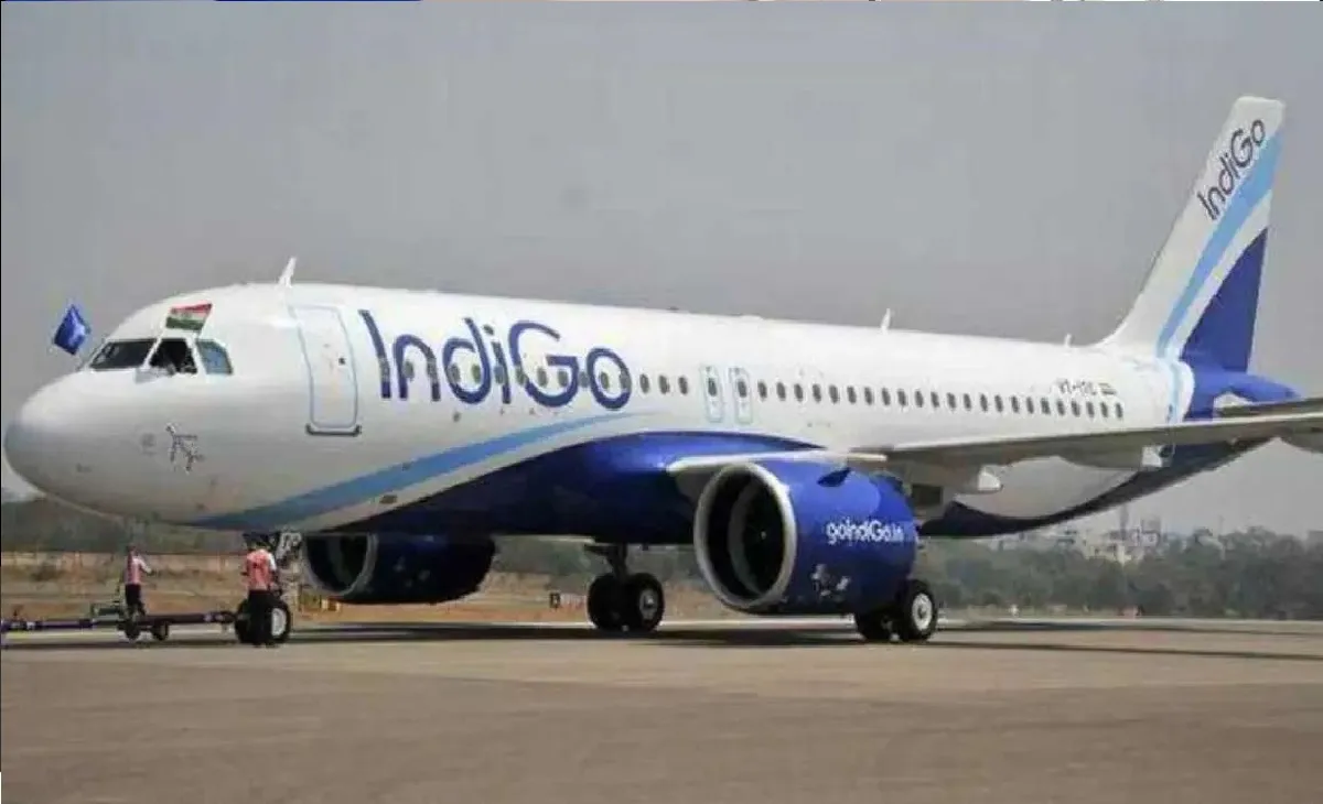 Indigo