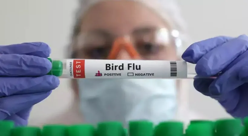 bird flue