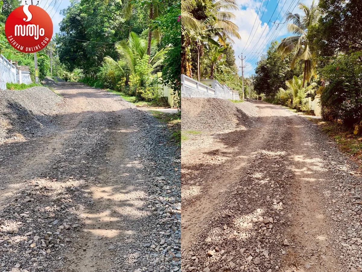 paddy road