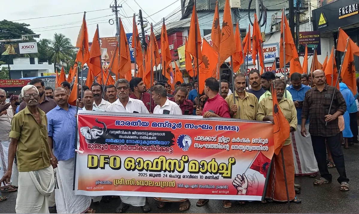 bms dfo office march