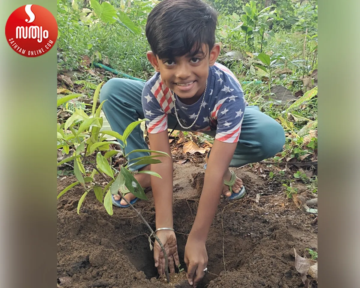 kattikunnu school environmental day celebration-4