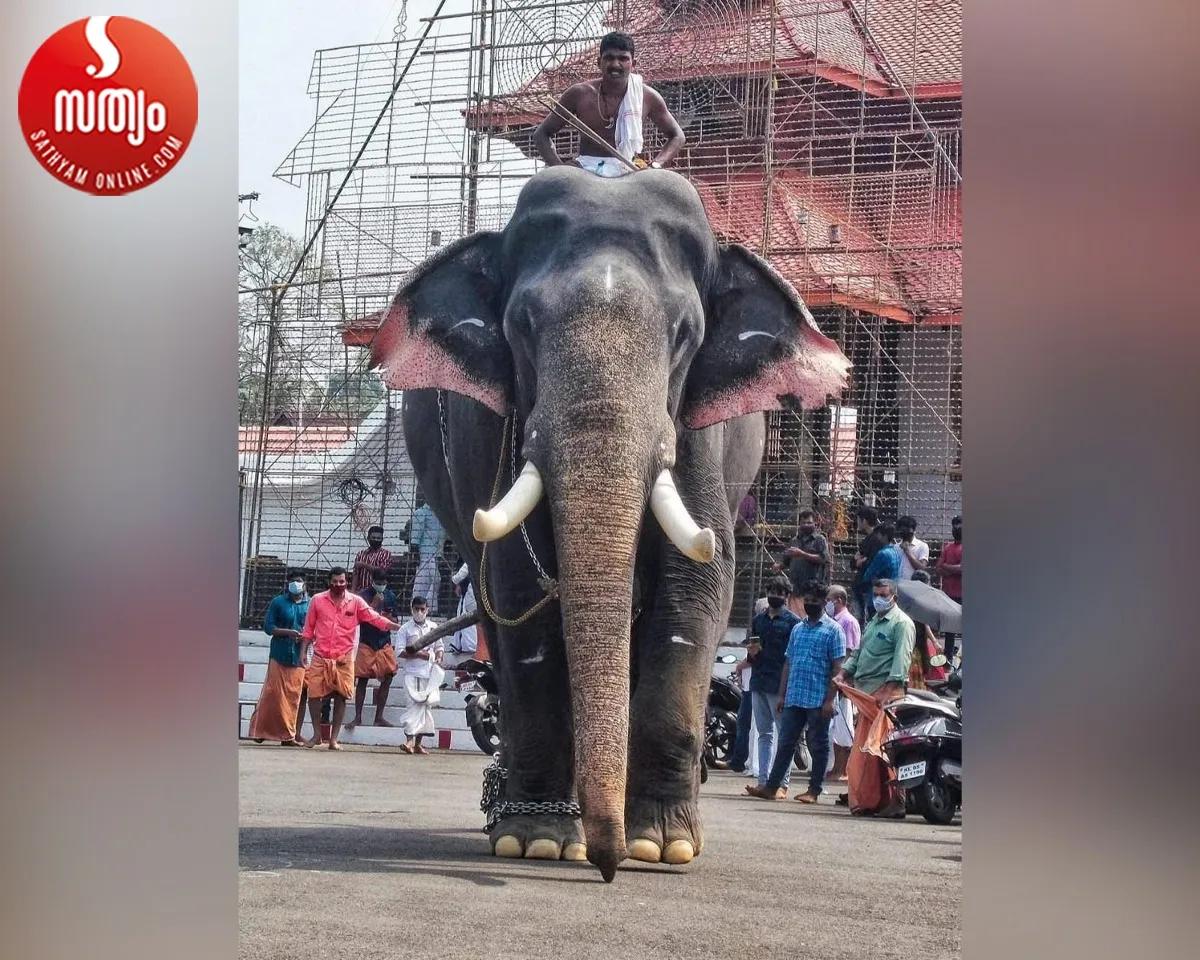 erattupetta ayyappan