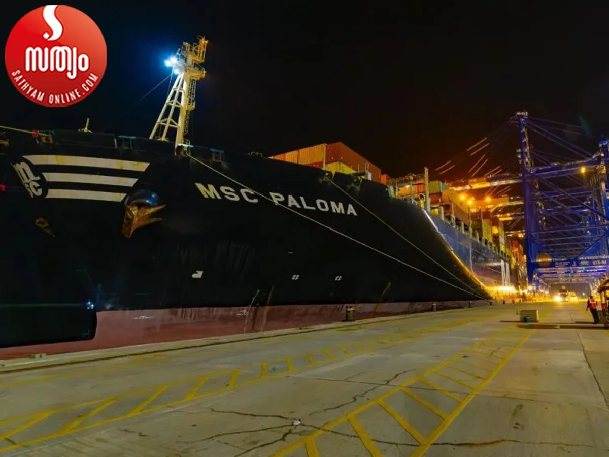 msc paloma