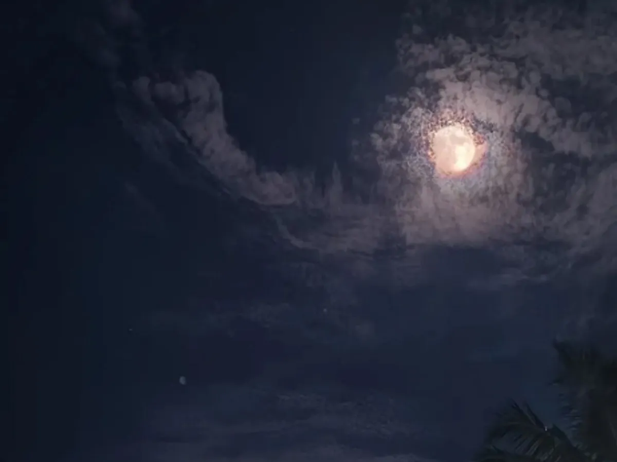 moon light