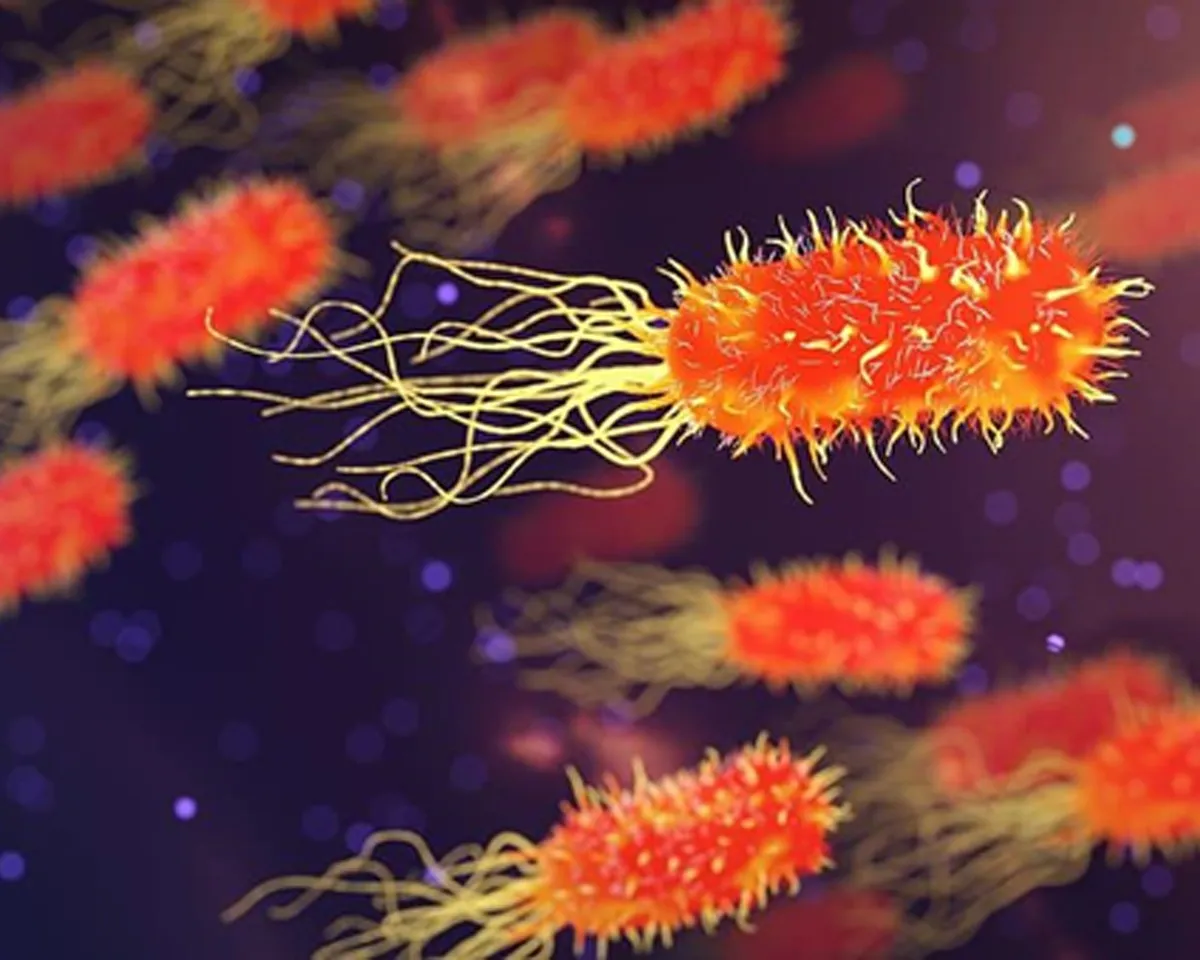 virus-2