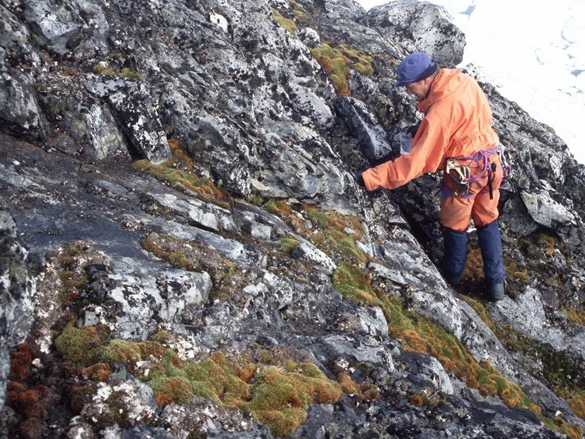 plants in antartica