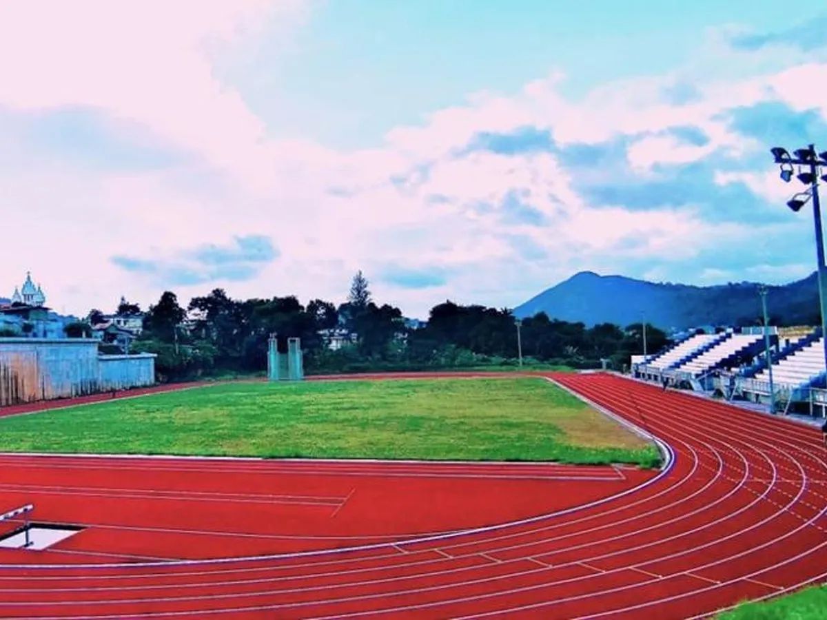 synthetic track-3