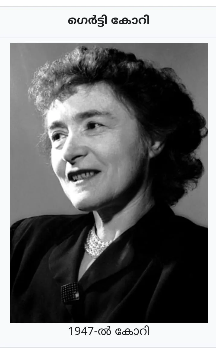 0805ebe2-4655-4787-9dff-fa92469012d0