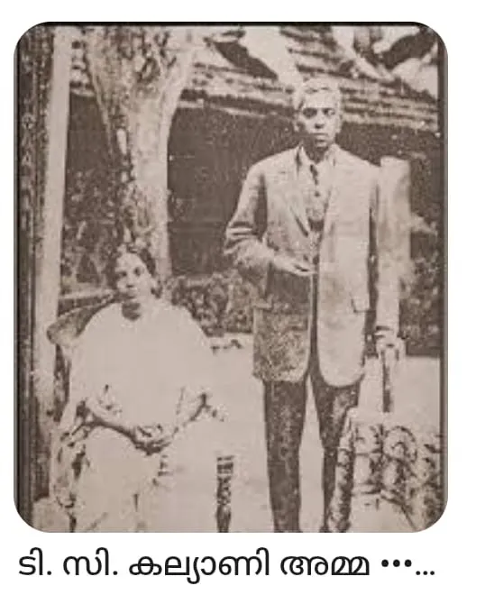 76c4f2b4-3277-404c-aa96-15a13a7a2dfd