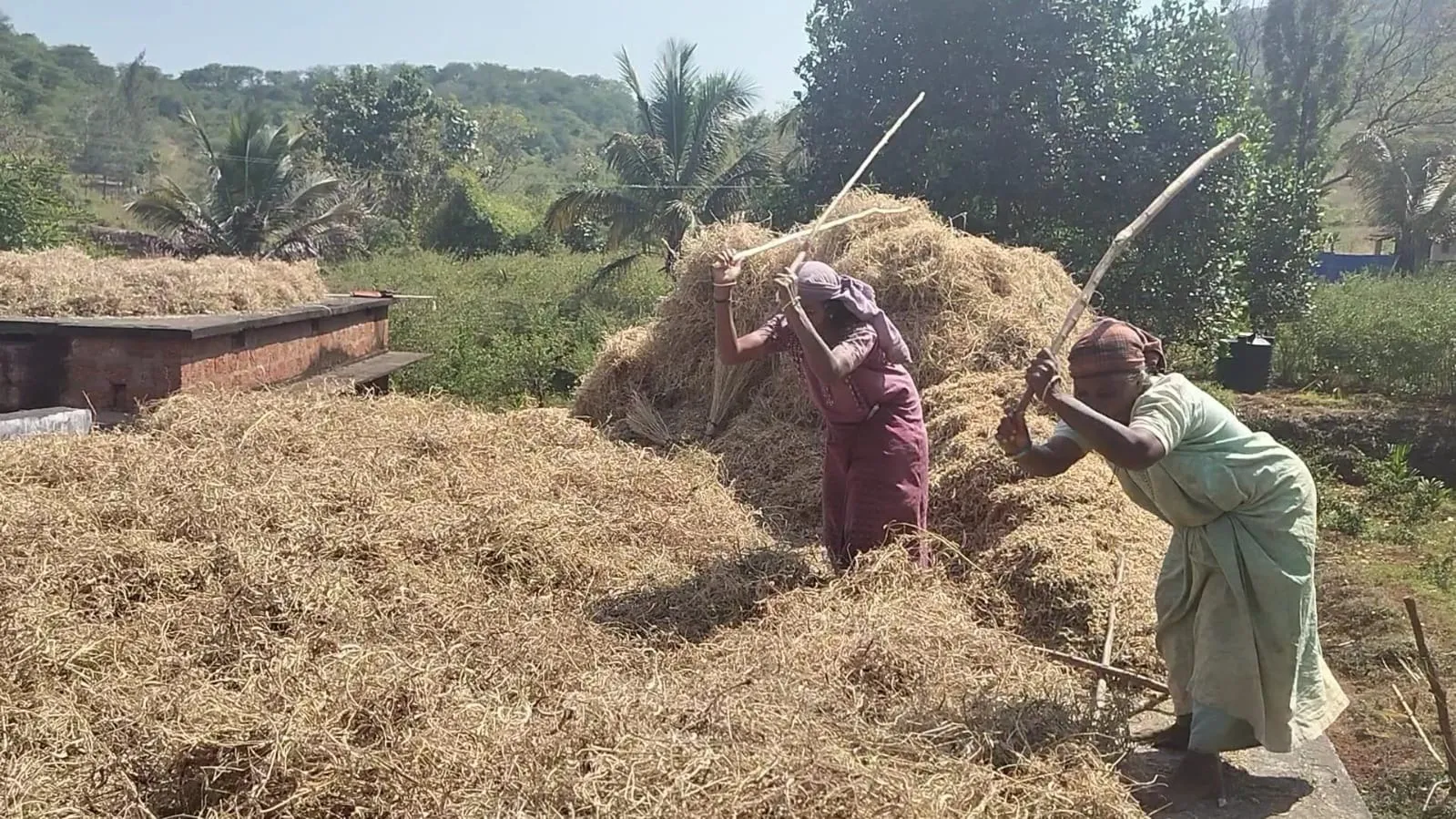 20d84072-9925-4d8b-9386-859fcad40fdb