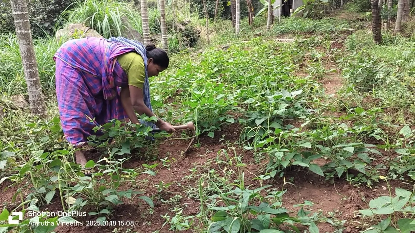 47bac99f-e66e-4c6f-83fa-e1a15dfa4a0b