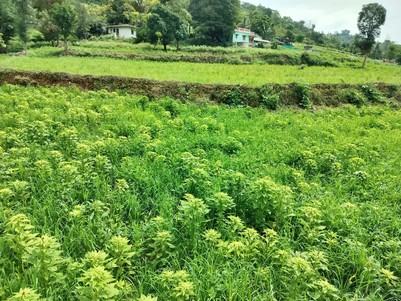 b3b64830-177f-4a87-a992-dcff13cabe44