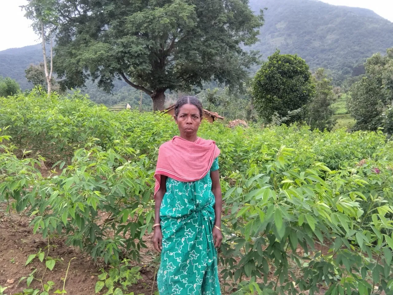 e9fde823-d98d-4366-8464-12b4ee5fb237