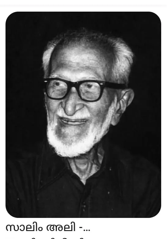 6530069a-4f98-4798-9f71-b15977b8a89e