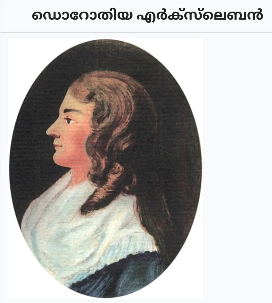 856feede-11a8-467a-809a-b3679fe4cd92