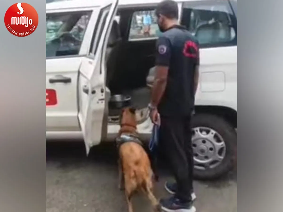 bomb squad checking-2