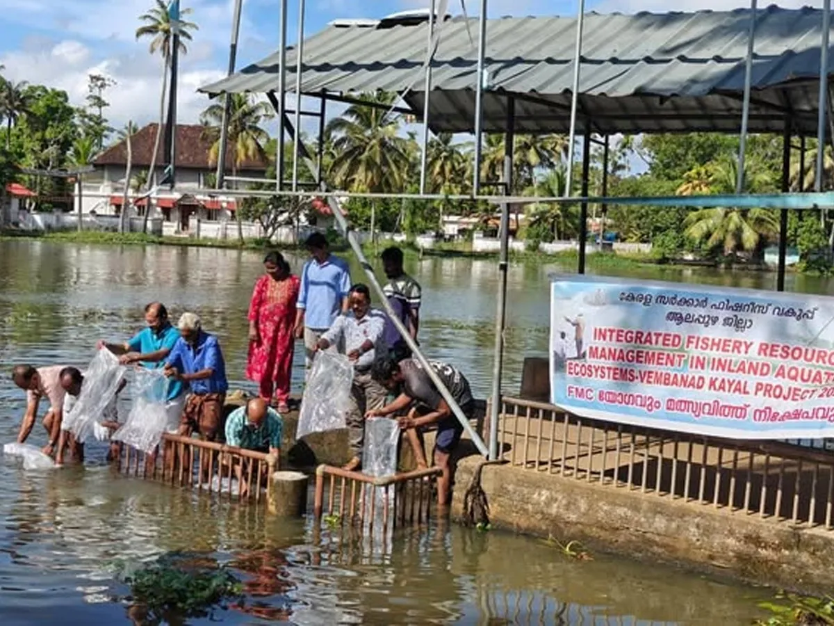 fish fry deposited-2