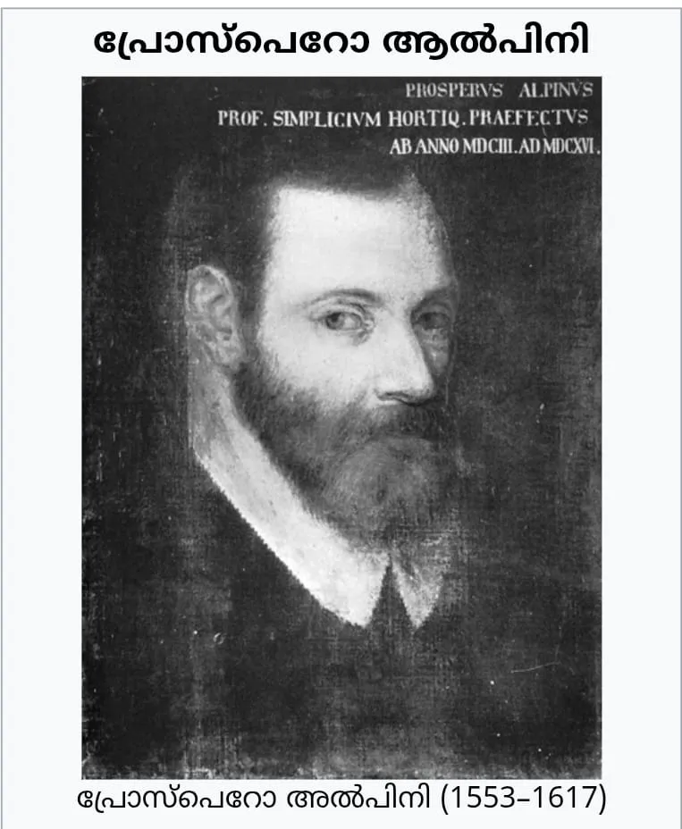 a457e661-d51b-4db3-96ed-2f12f675a48b