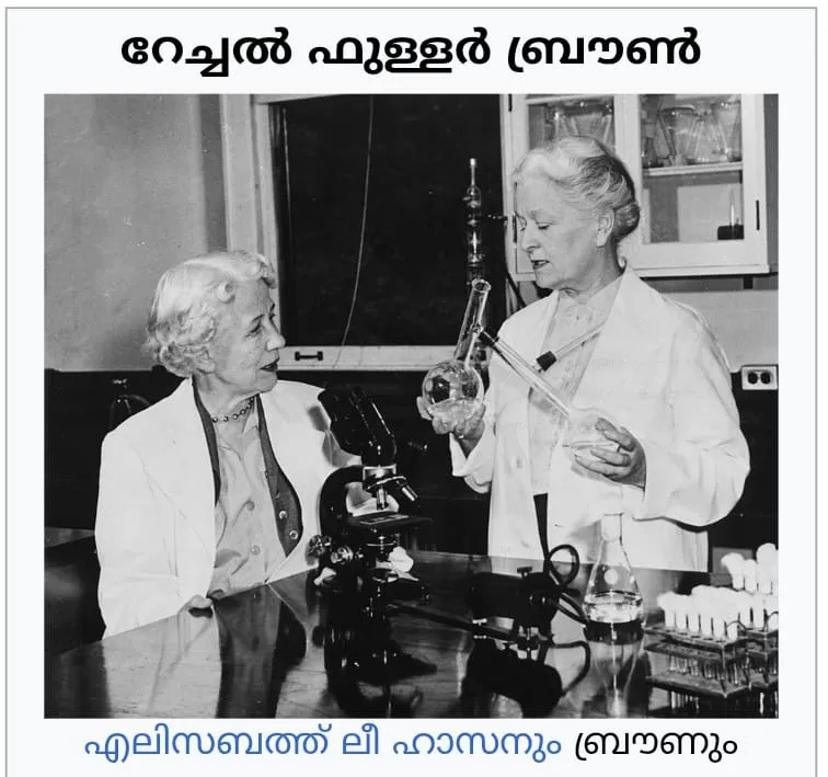 f2ed220e-dc78-4283-bb6d-81d1a3f10500