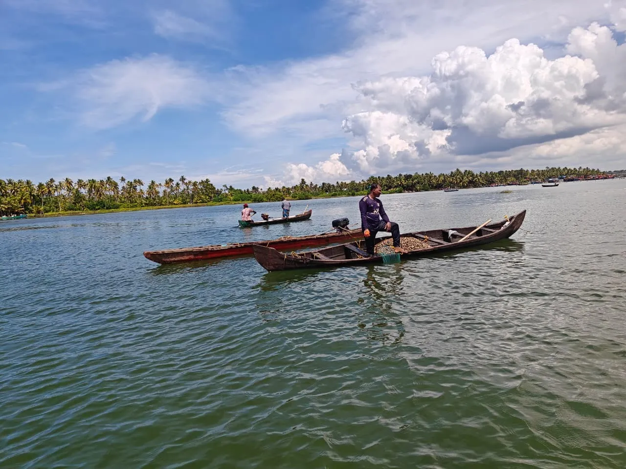 Photo- Clam collection in Ashtamdi