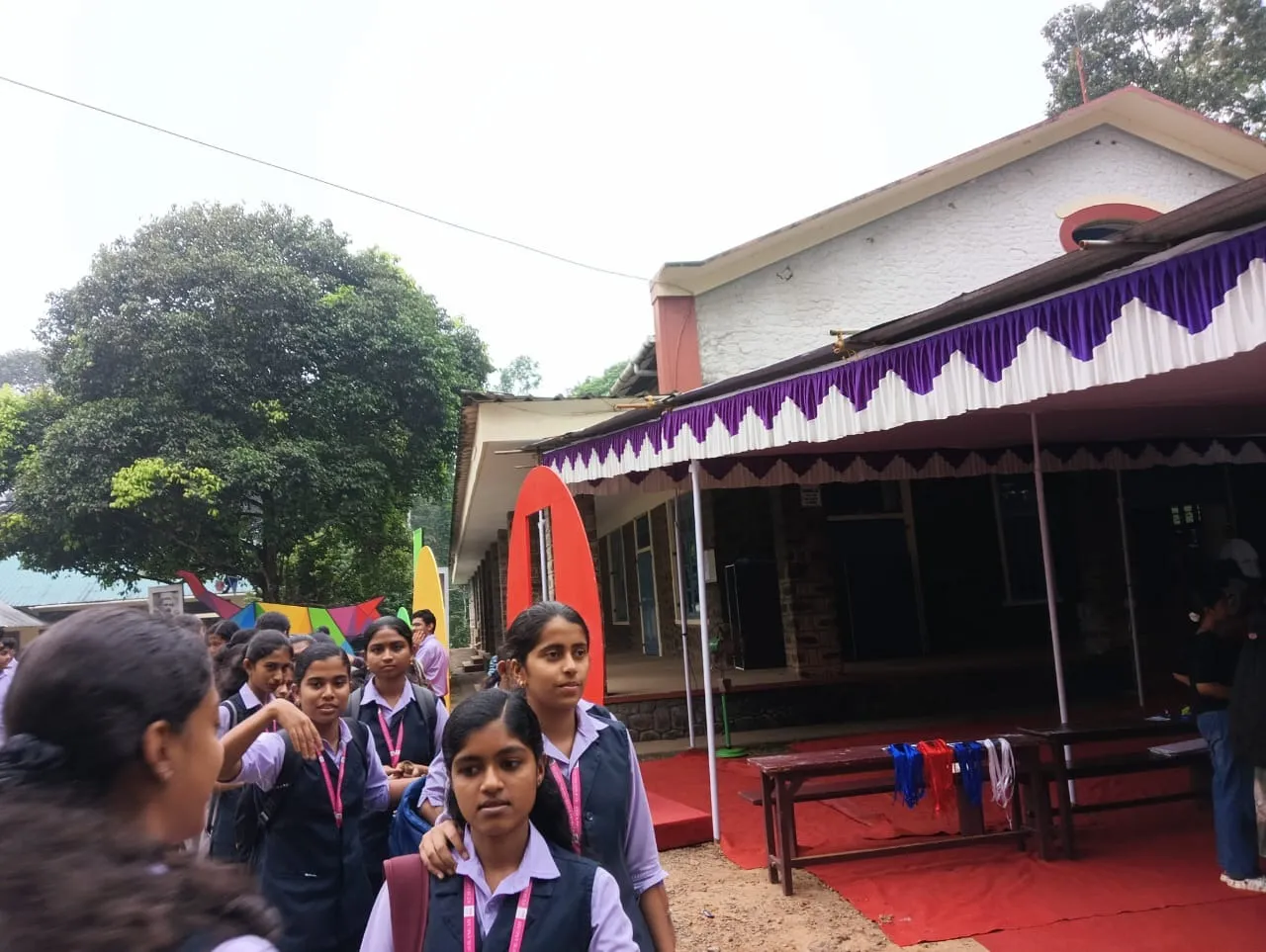 6dc8e733-82d2-4d90-ab00-69e96f3886ea