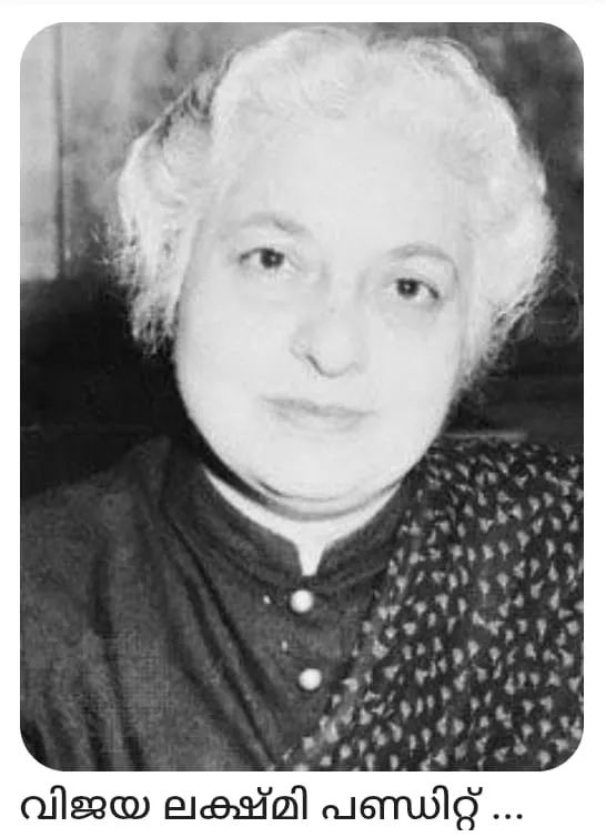 191e5f49-09be-444e-b0c1-119a274bd498