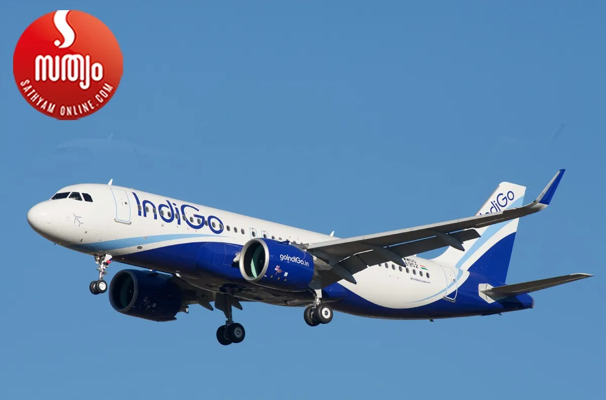 indigo flight