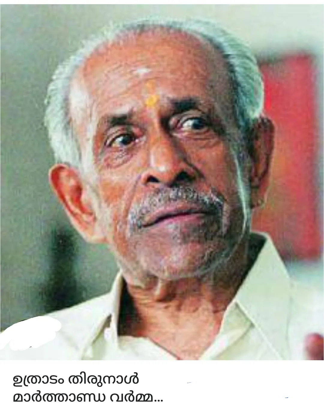 74d515f4-c67c-4dfa-9092-5be1f8803e1c