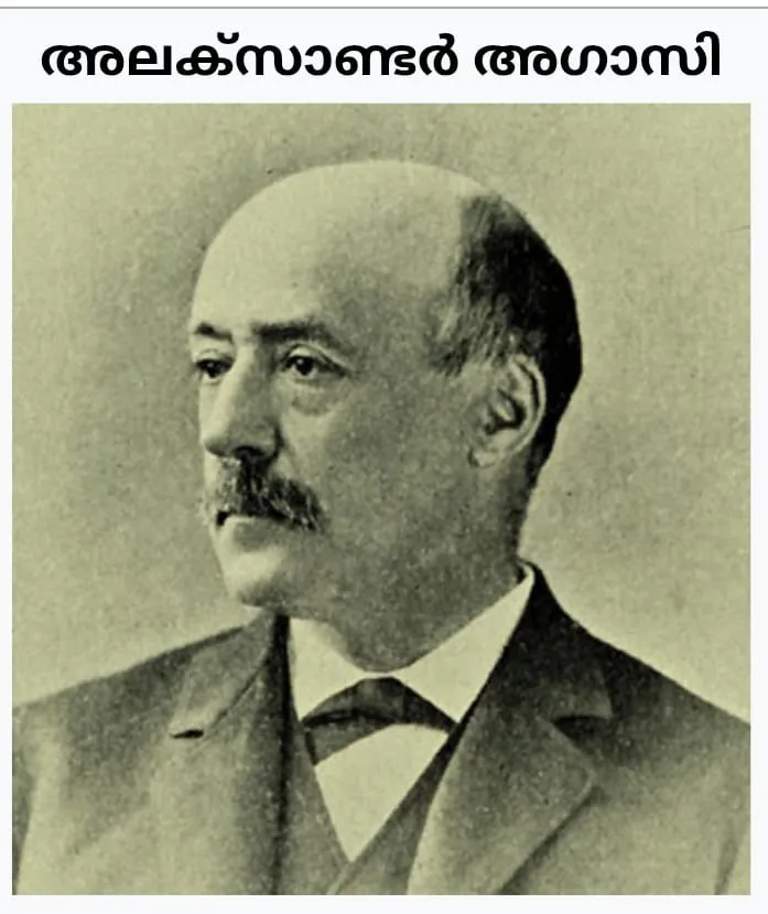 3a4b74d9-d42c-480b-b271-e104b64d3e13