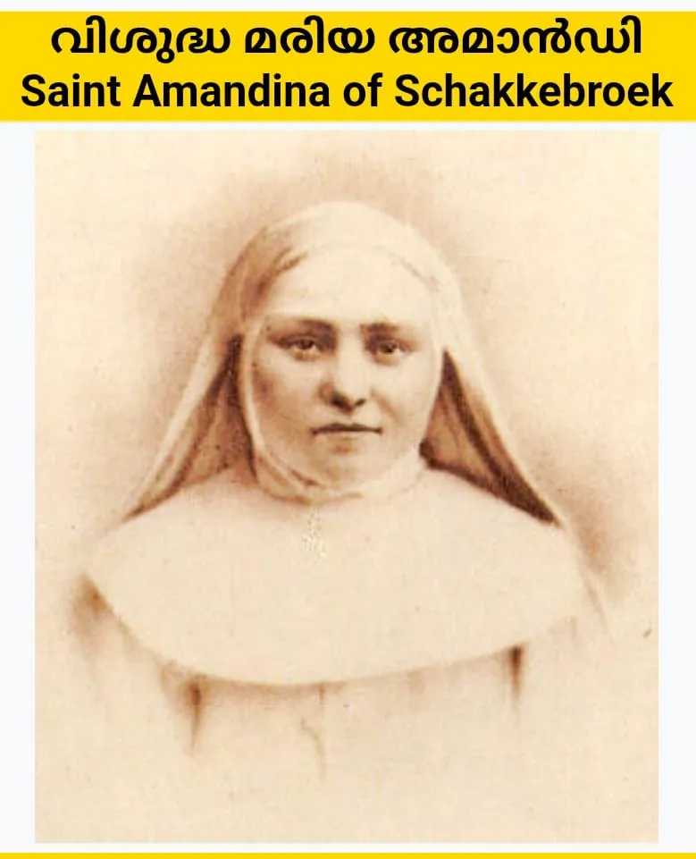 8035c82e-b631-4fde-a0fa-53c4979fb109