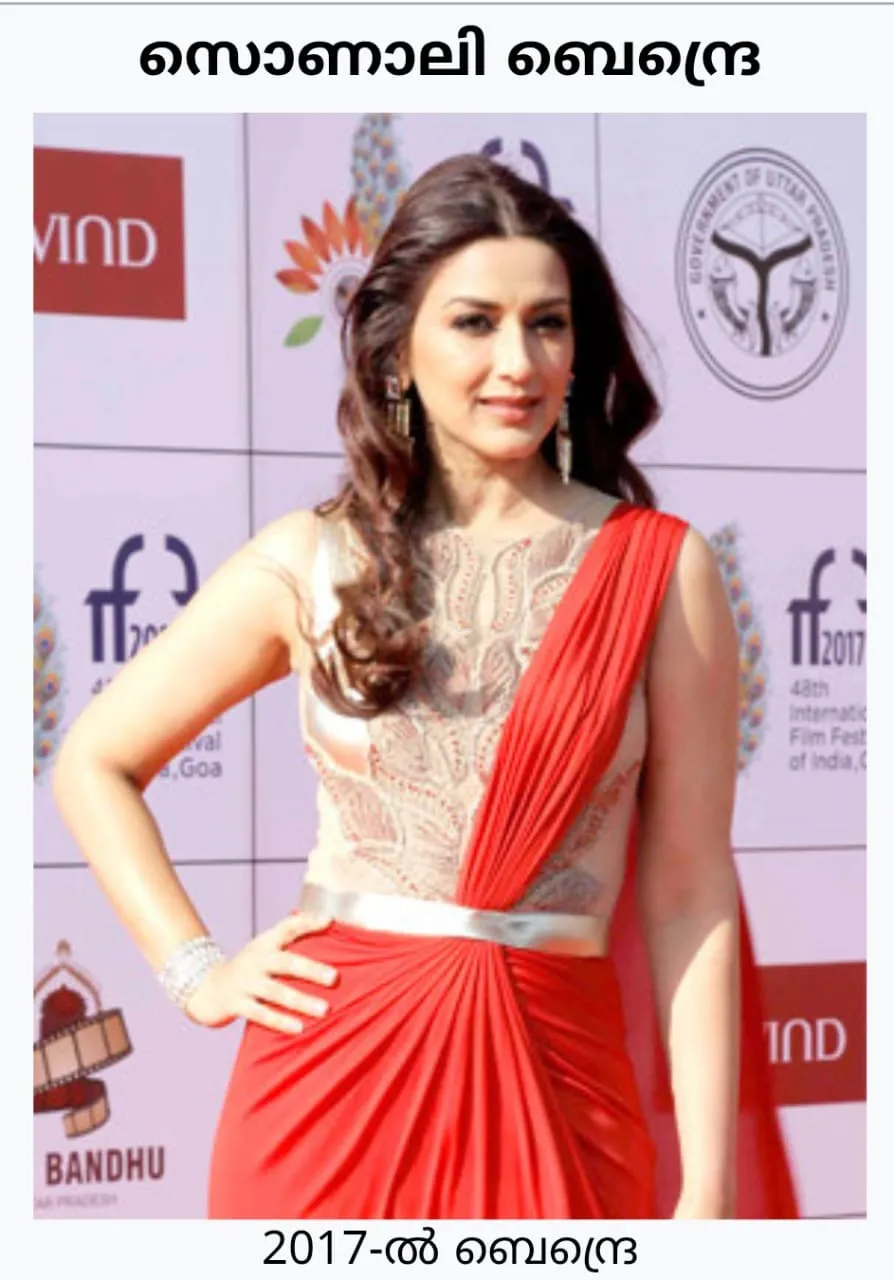 1337c484-2146-4868-8e52-44b40f4373a9