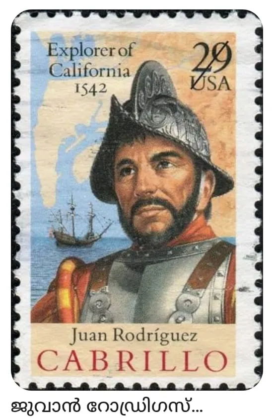 81882ace-5b59-4af6-8c61-2adefa7ed09b