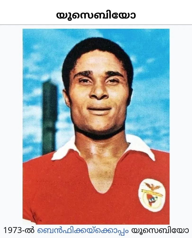 26b95539-dc6b-466a-9152-cdcd9e7b2caa