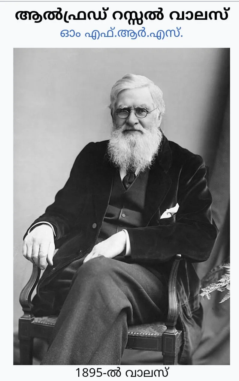 68e8cfb3-06f9-4a89-9d10-c9d722aca5a5