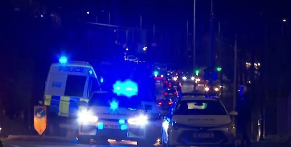 ff2cf0e7-8013-48a7-b72b-7976f4d0456d