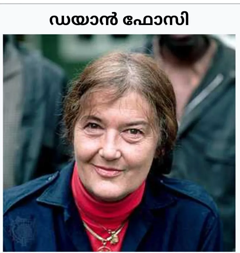 8c4c28a2-358b-4725-adad-ca3e16803067