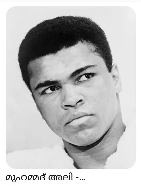 WhatsApp Image 2026-01-17 at 5.32.08 AM