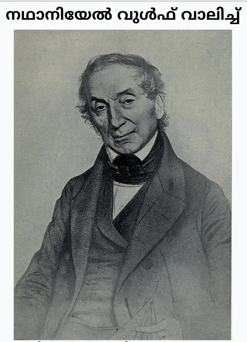 77d03ae1-3fcd-4f09-b49f-617b119b900b