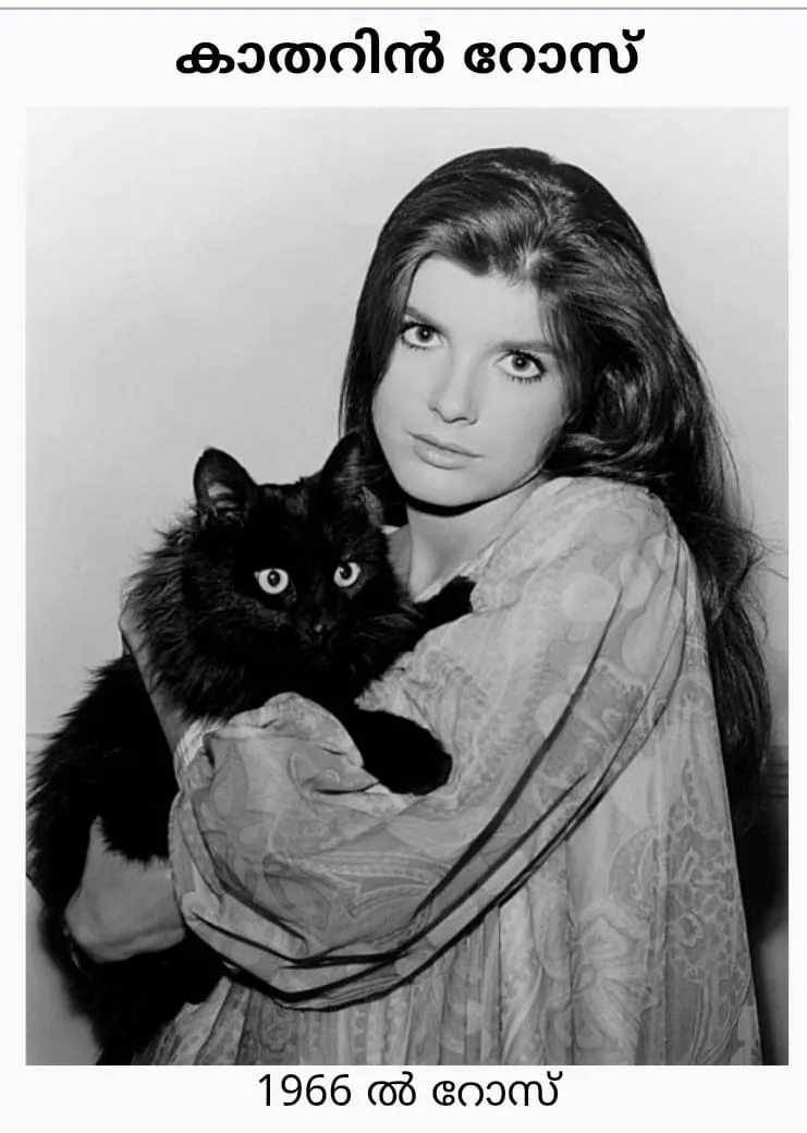 46fe05c8-3a11-4d48-bfb9-fa3af294aa13